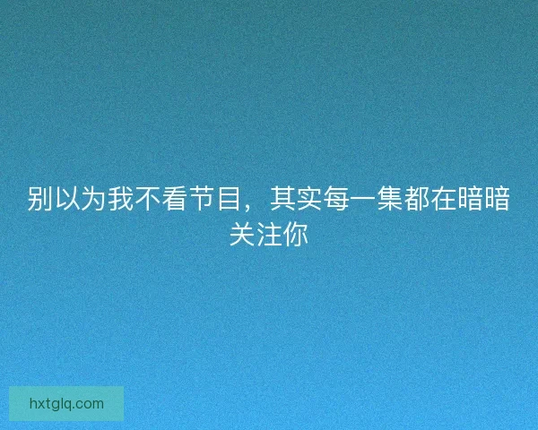 别以为我不看节目，其实每一集都在暗暗关注你